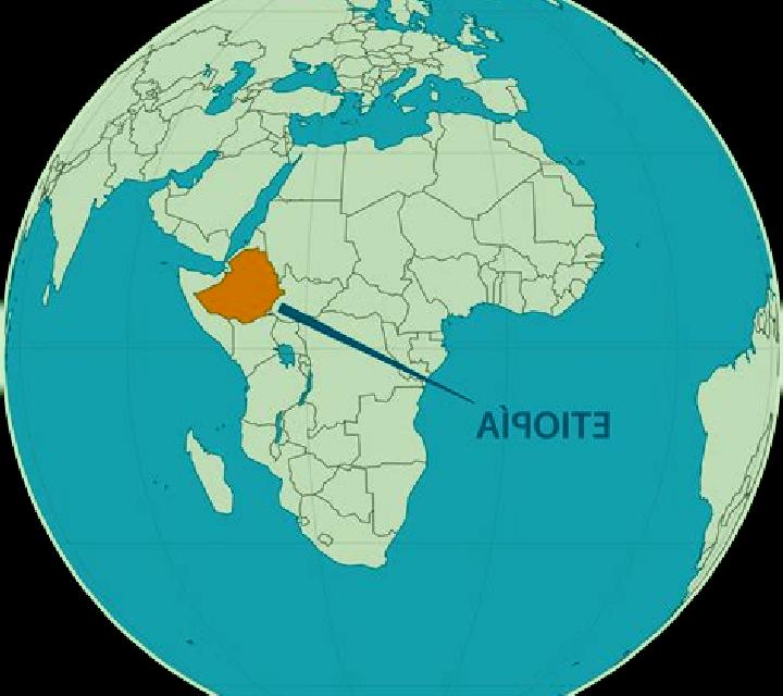 3 Card Brag Live slot