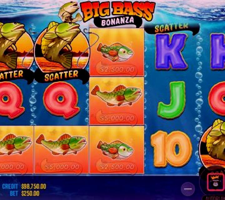 Big Fish Bonanza online slot