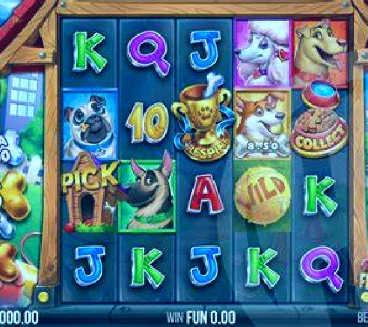Big Tuna Bonanza slot
