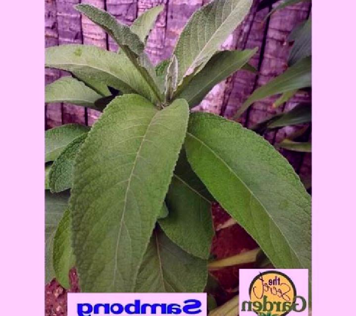 Fire n Hot slot