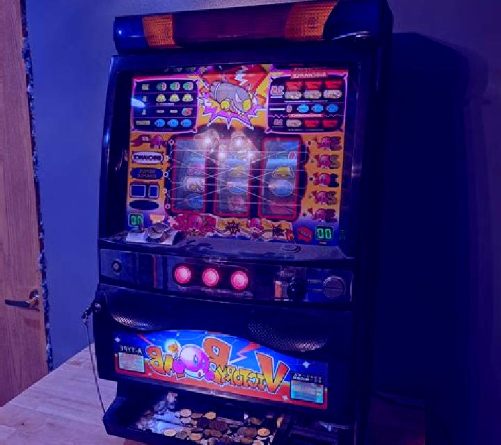 Going Wild in Hawaii slot game