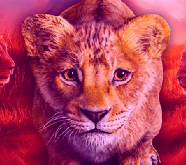 King The Lion Heart SA slot game