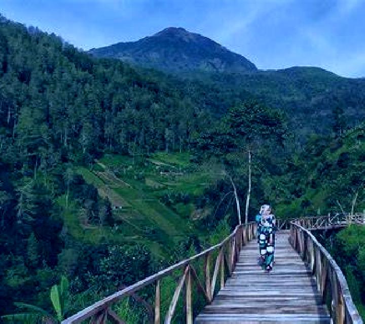 Magician Dreaming slot