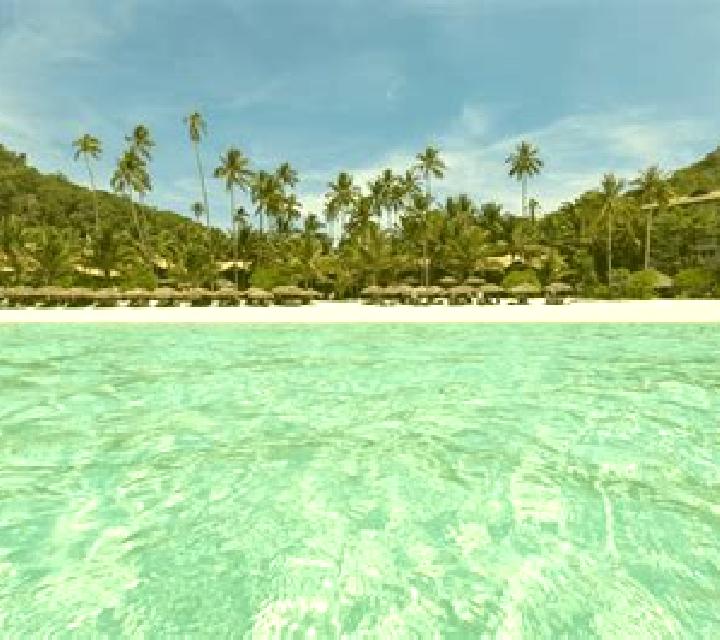 Ocean King Plus Zombie Awaken online slot