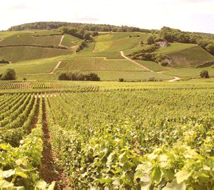 Rainbow Jackpots online slot