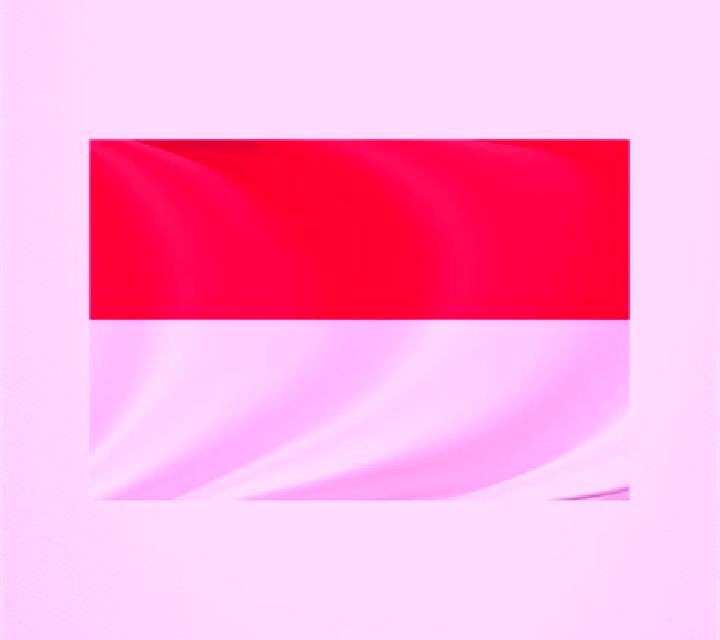 Record Riches! slot machine