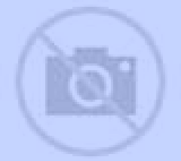 Speed Baccarat 2 (Bombay Live) online slot