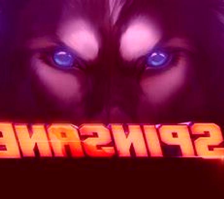 Spinsane slot