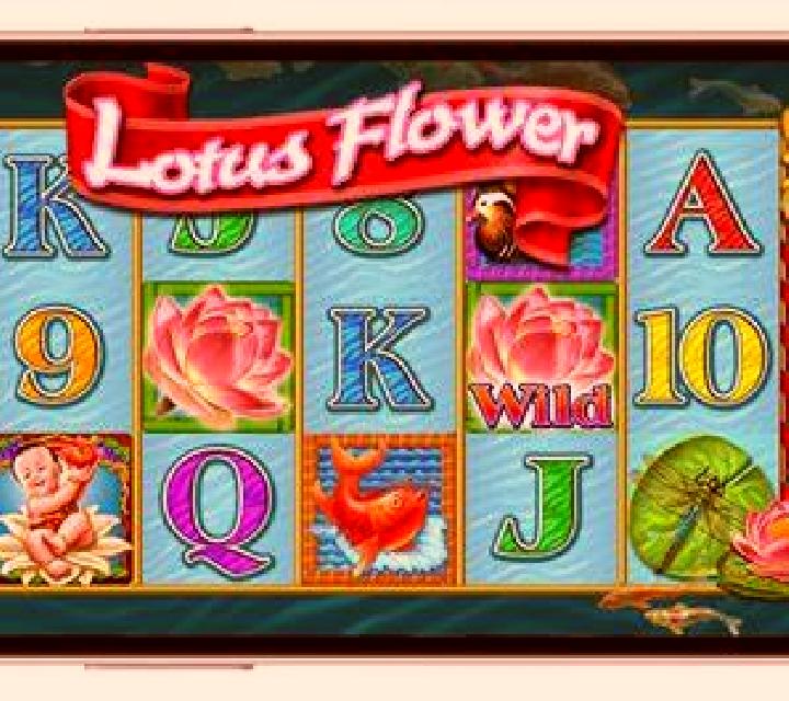 WP Golden Flower slot machine